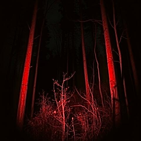 Watch your back