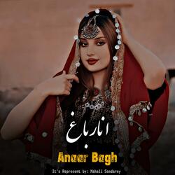 باغ به دې بيا ګلو راشي انار باغ جوړوه ولارمه ومه - Anar Bagh Ye Jorawo Walara wama