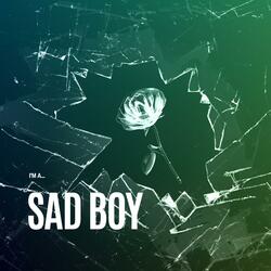 I'm A Sad Boy