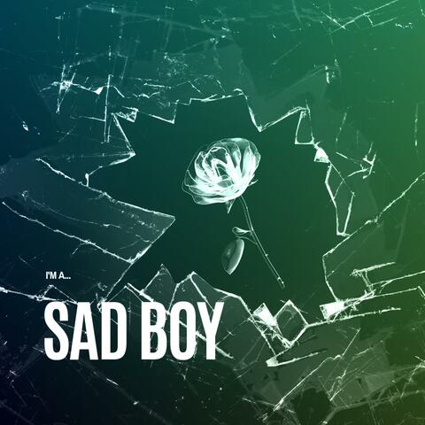 I'm A Sad Boy