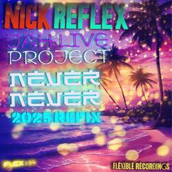 NEVER NEVER REFIX (FLEX194) (feat. JAH LIVE PROJECT) (2024 dnb refix)