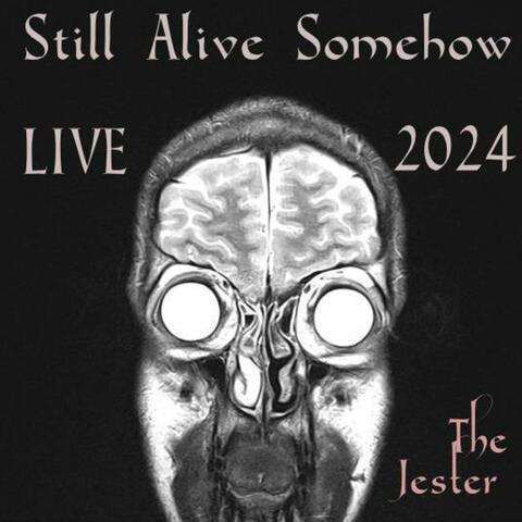 Still Alive Somehow: LIVE 2024