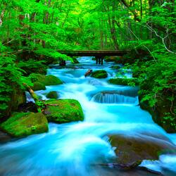 Inner Peace (Calm Stream)