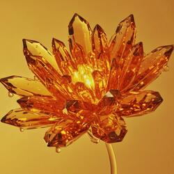 Flowers of Citrine