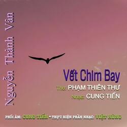 Vết Chim Bay