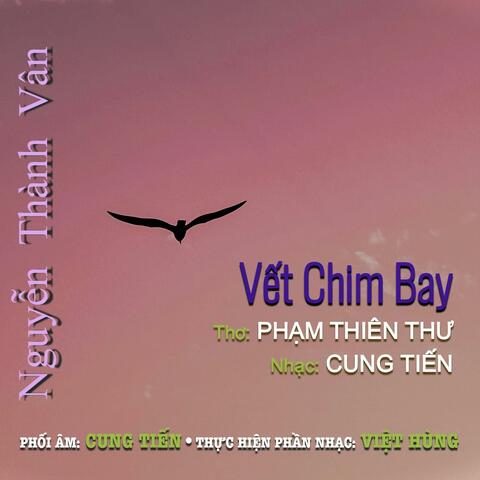 Vết Chim Bay