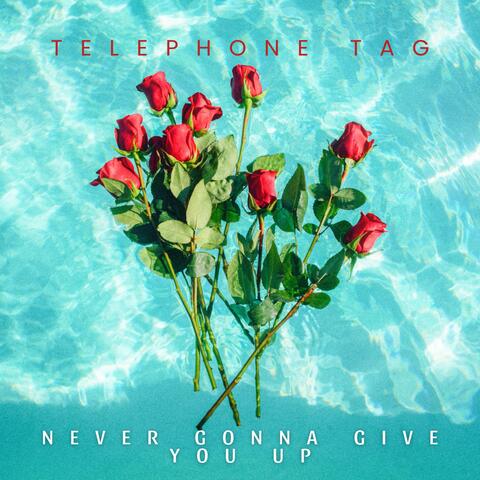 Never Gonna Give You Up