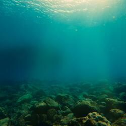 Creatures of the Deep