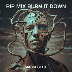 Rip Mix Burn It Down