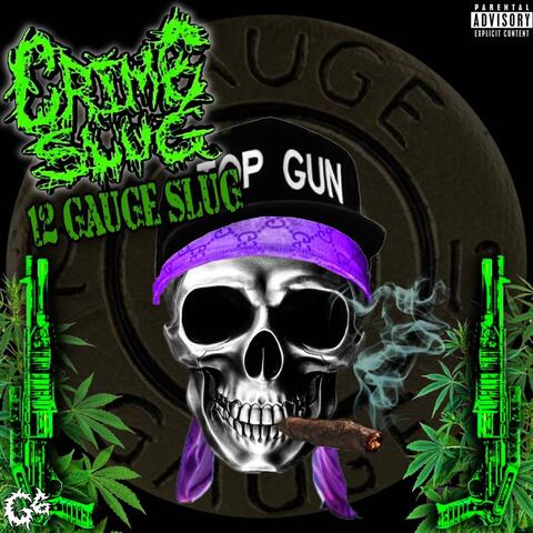 12 Gauge Slug