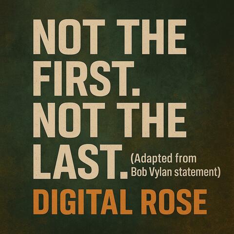 Not the First. Not the Last. (Adapted from Bob Vylan statement) (432 HZ)