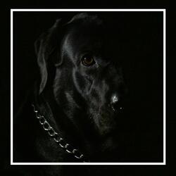 Troublemaker (Midnight Version)