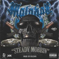 STEADY MOBBIN