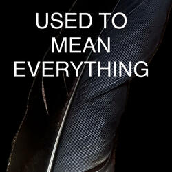 USED TO MEAN EVERYTHING