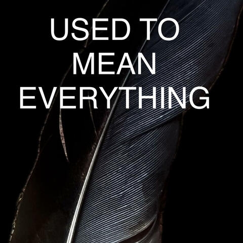 USED TO MEAN EVERYTHING