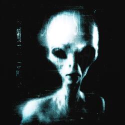 Don't Sleep this Night