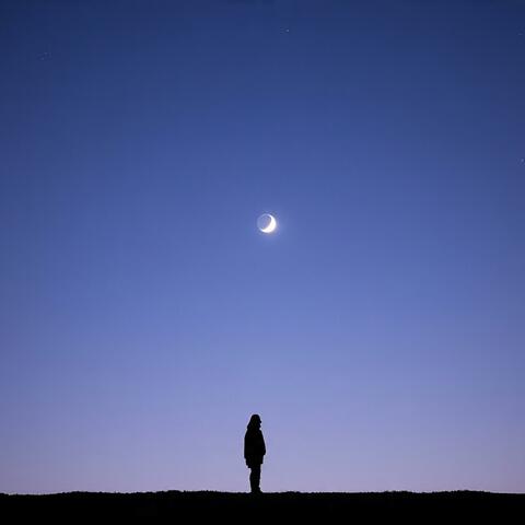 soundless night