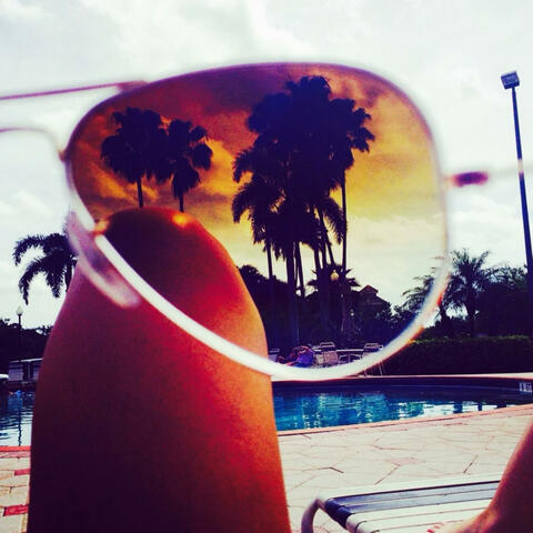 my summer diary
