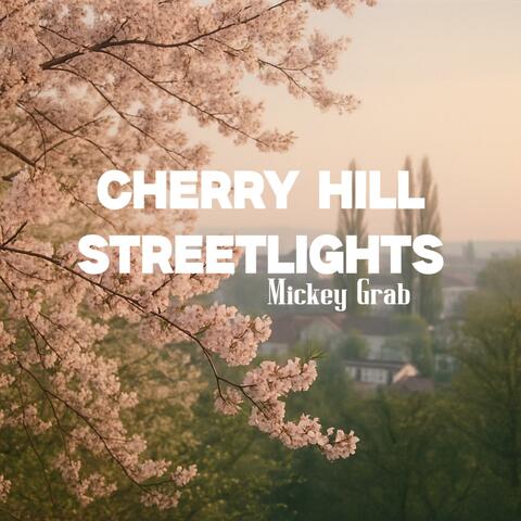 Cherry Hill Streetlights