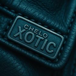 XOTIC