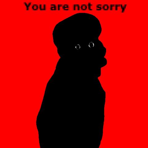 You are not sorry.