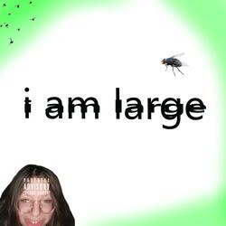 OBESITY! (feat. plane & hyperwazhere)