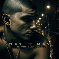 Not A Day (feat. Brittiney Nicole)