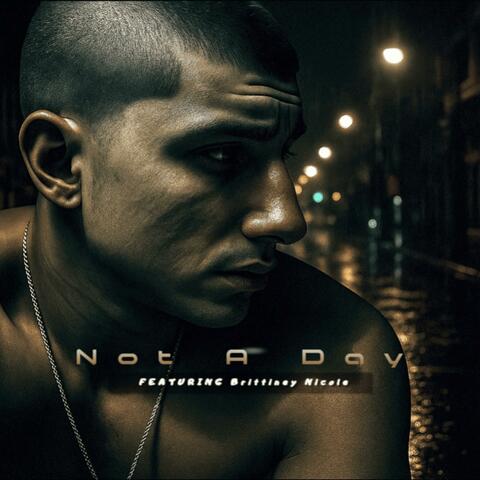Not A Day (feat. Brittiney Nicole)