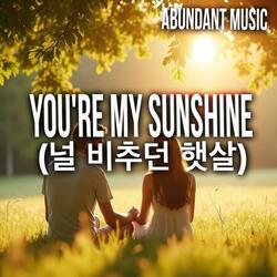 You're My Sunshine (널 비추던 햇살)