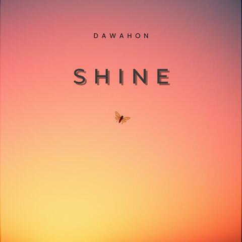Shine Like This