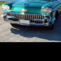 World of beautiful ladies