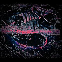 NELLA MIA STANZA (VERSIONE 2025) (Special Final Version? UTP .....)