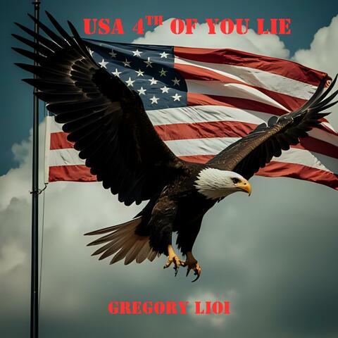USA 4th of You Lie
