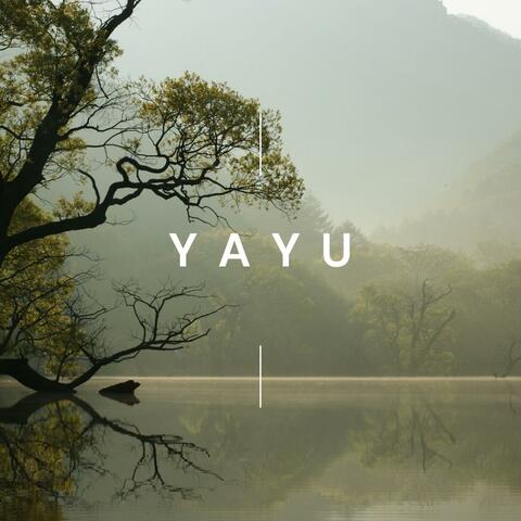 Yayu