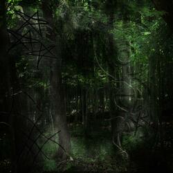 through the leaves
