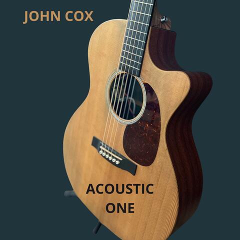 Acoustic One