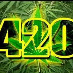 Tea at 4:20 Anyone?