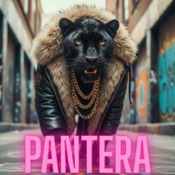 Pantera