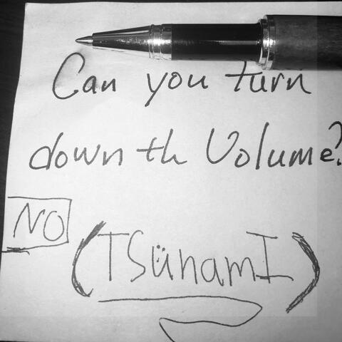 Can You Turn The Volume Down