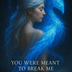 You Were Meant to Break Me