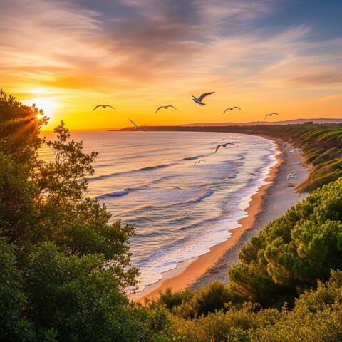 Summer in Tuscany (Sea, Birds and Cicadas)