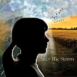 After The Storm
