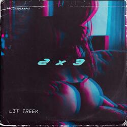 2x3