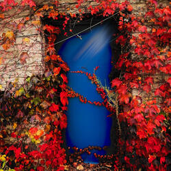 Missed you in Kalamazoo