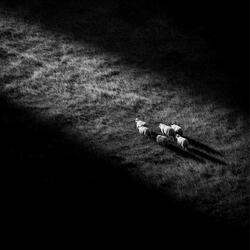empirical