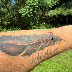 My feather's are bleeding