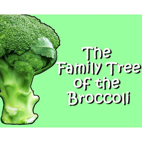 The Family Tree of the Broccoli