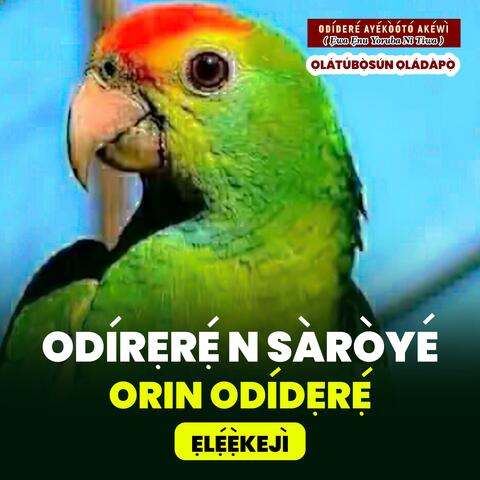 Odidere n Saroye Episode 2