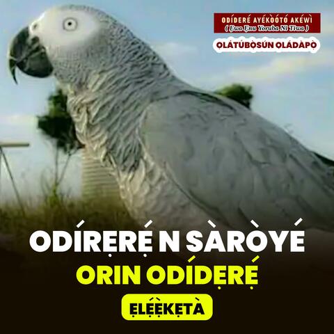 Odidere n Saroye Episode 3