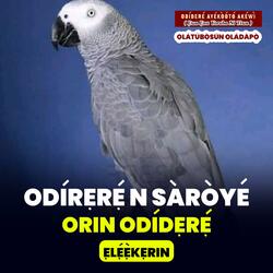 Odidere n Saroye Episode 4